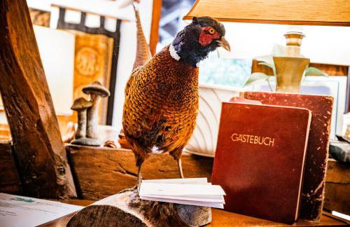 Wohnen am Park - Foto 18