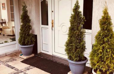 Willa Wicko - Międzyzdroje - apartamenty z aneksem - widok na Zalew Szczeciński - Foto 58