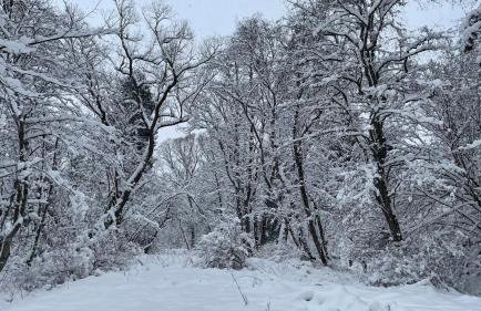 LoveLas - Apartamenty - Photo 62