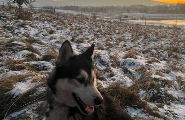 Polana Gorska Mirsk - Photo 37