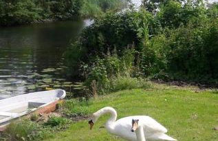 Ferienbungalows am See - Photo 26