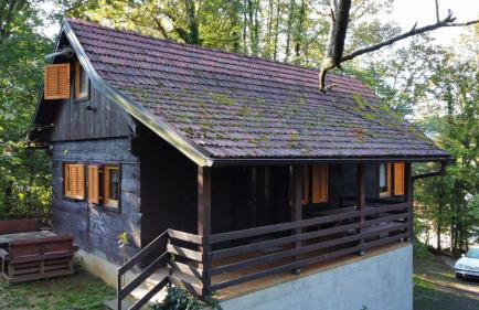 WOODEN HOUSE near the River Kupa - Foto 43