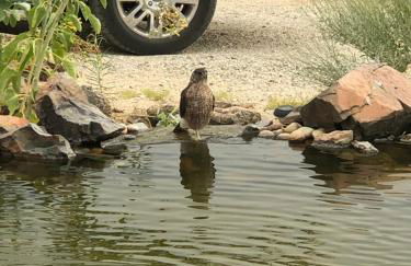 JT Park Villa 360 Views and Starlink on 10 acres - Foto 36