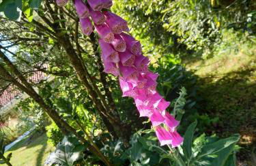 Chez Juliette countryside and sea near Pornic - Foto 19