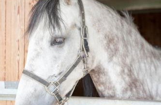 Agriturismo La Tesa - Foto 43