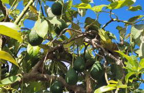 Casa El granero de Antonio - Foto 63