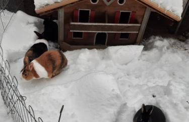 App Brunner - Photo 13