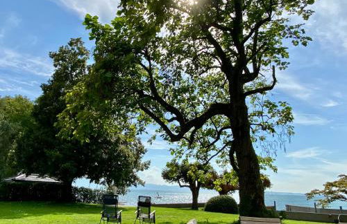 Ferienwohnung Seeperle49 - Besonders, stilvoll mit eigenem Badestrand - Foto 32