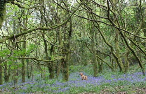 The Barn-Uk32860 - Photo 20