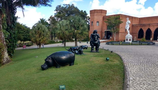 Olinda + Ricardo Brennard Institute Day Trip - Foto 4