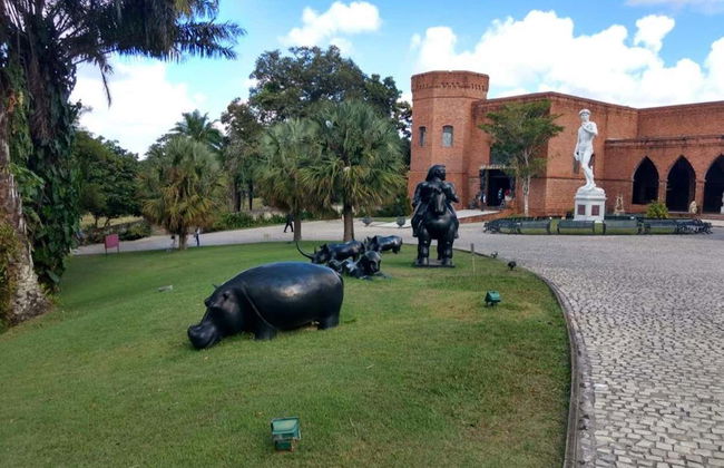 Olinda + Ricardo Brennard Institute Day Trip - Foto 4