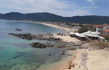 Studio Wilem - Foto 30