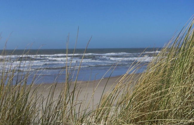 "sina" Comfortable Holiday Residence - Photo 19