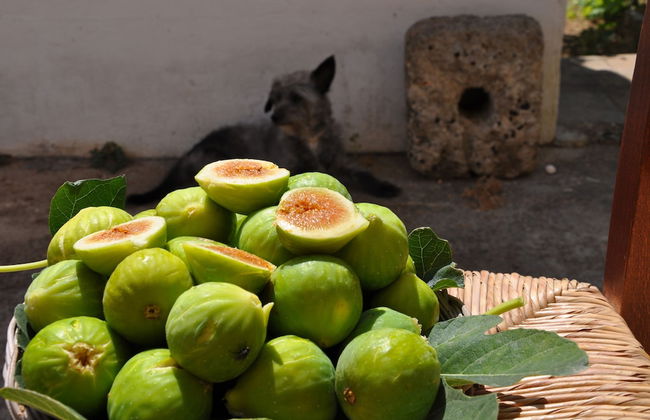 Masseria Uccio - Foto 20