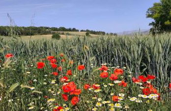 Casa Sullà - Foto 42