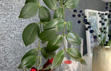 Riverside - apartment - Photo 16