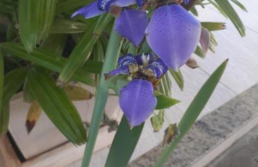 Itaúna saquarema beach house - Foto 45