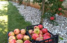 La Cuccuvascia pool house by LoveSud - Foto 39