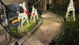 Elegant Garden Suite Minutes Walk to Union Market and NoMa Metro - Foto 5, Garden view