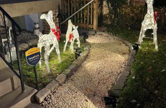 Elegant Garden Suite Minutes Walk to Union Market and NoMa Metro - Foto 5