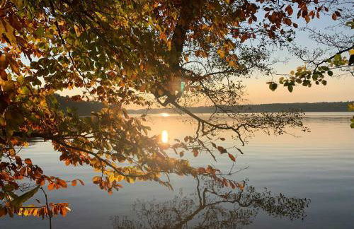 Haus 8 am Grimnitzsee mit Sauna - Photo 16