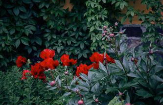 Blickinsfreie - Cabin - Foto 68