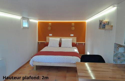 La Pigoussette - Photo 29