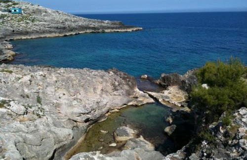 Pajara Rugiada - Foto 45