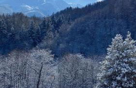 Ranch Enbrucà - Foto 76