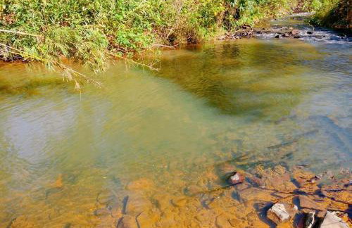 Sitio Casa na Árvore - Photo 9