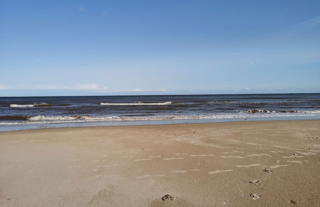 Sea Activities Golden Sands Beach Relax - Foto 37