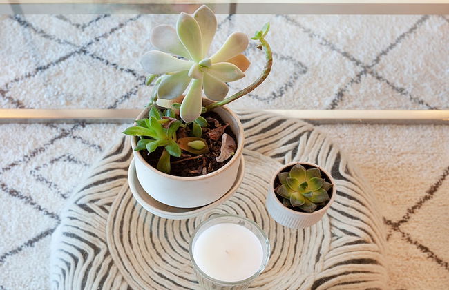 Short Lane Apartments by Urban Rest - Photo 16