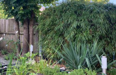 Altstadt-Domizil-Friedberg - Foto 33