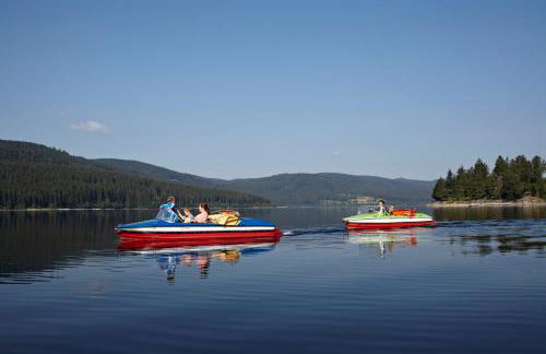 Haus Schluchseeblick - Foto 34