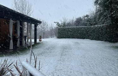 La Casa del Bosco - Foto 51