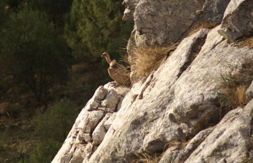 Monte do Pego - Foto 19