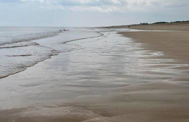 Our Happy Place - Photo 4