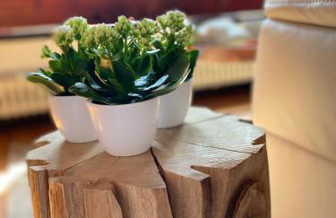 Apartmenthaus Eurenerstrasse 179 - Foto 77