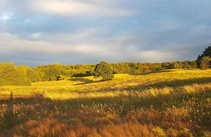 Wilczy Zew Private Spa & Nature - Foto 37