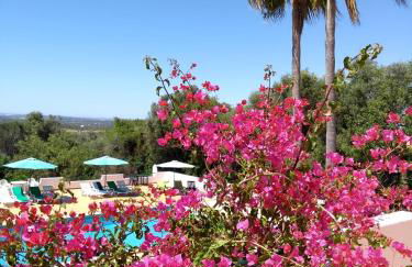 Feliz Apartments - Foto 31