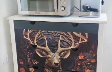 Gemütliche Wohnung mit Balkon, verkehrsgünstig gelegen - Foto 4