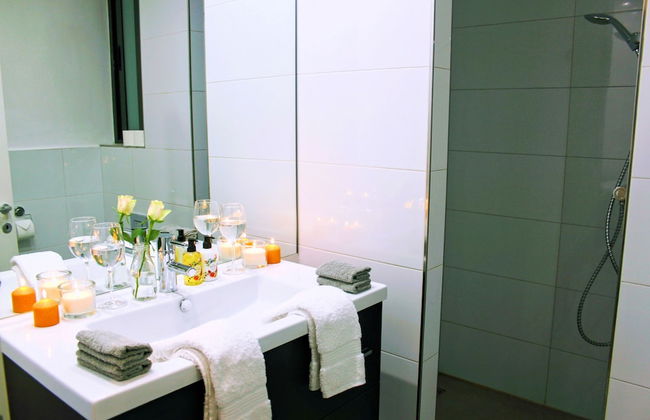 Maltese Maltese - Foto 46