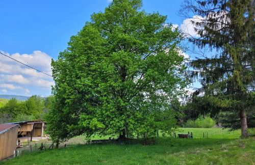 Gîte de la Ferme de la Comté - Foto 20