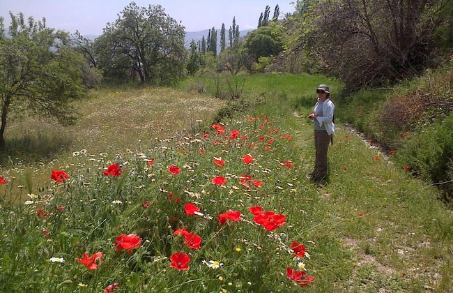 Las Chimeneas - Foto 46
