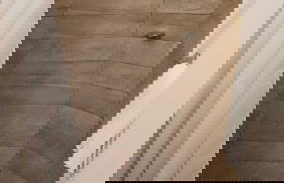 Gladiolas 1103 - Foto 8