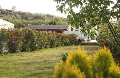 The Dragonfly Retreat - Photo 30