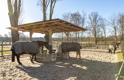 Ferienwohnung Sawade Schafstedt - Foto 26