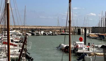 Villa Miha (New house Saint Martin de Ré) - Foto 5