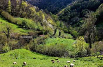 Casa Nayala - Foto 50