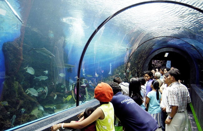 The Suites Apartment & Residence Phuket - Photo 39